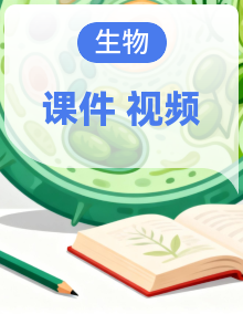 2024-2025新版人教版生物七年级下册 课件+视频