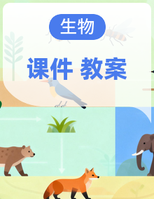 人教版（2024）生物八年级下册同步教学课件+教案
