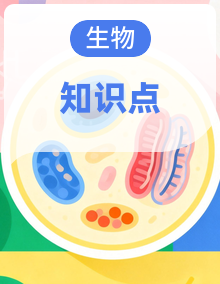 2025年中考生物知识梳理