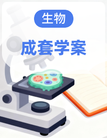 2025人教八年级上册生物学同步教学导学案