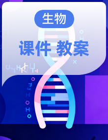 北师大版（2025年新教材）生物八年级上册课件PPT+教案整册