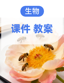 初中生物新课标苏教版（2024）七年级下册 （2024）同步教案+配套课件