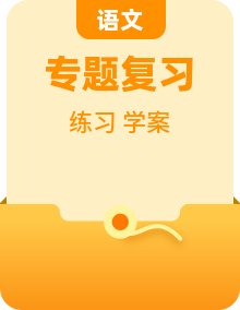 小升初语文专题复习：答题技巧学案与练习题等汇编