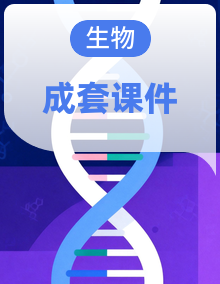 北师大版（新教材）七年级生物下册培优备课课件