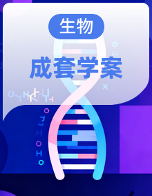 北师大版（2024）初中生物八上 学案 （含答案）