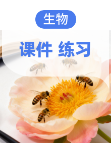 2025年人教版新版 初中生物七年级上册 作业练习 习题课件