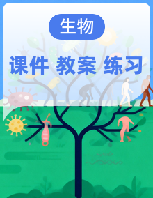 人教版生物八年级下册(2024)PPT课件+教案+同步分层练习(含答案)