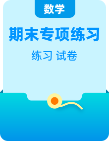 (人教A版)必修一高一数学上册 期末专项练习(2份,原卷版+教师版)