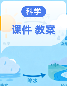 教科版（2024）科学三年级上册 同步教学课件+教案