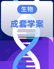 人教版生物七年级下册（2024）导学案全套