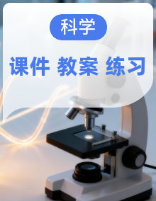 2025年秋湘科版三年级科学上册 （课件+教案含练习及答案）