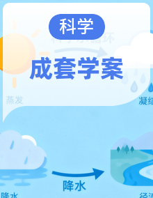 2026年教科版三年级科学下册  教材解读（学案）