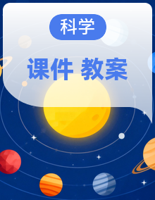 教科版科学三年级下册（2024）PPT课件+教案设计整套