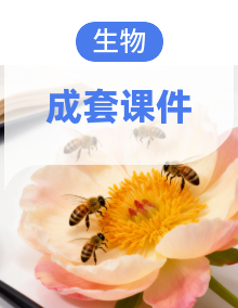 2025-2026学年人教版生物八年级下册精品教学课件