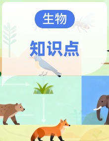 人教版初中 生物八年级下册 期中复习 知识点清单