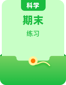 教科版小学科学三年级上册期末专项单元练习（含答案）