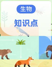 2026年中考生物一轮复习：知识点考点复习资料汇编