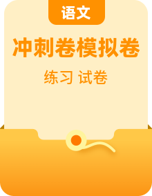 2026中考语文分类模拟冲刺提分训练(原卷+答案与解释)2026中考语文