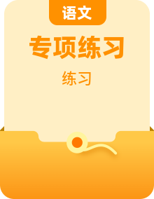 2026年高考语文题型专项训练(学生版+解析)