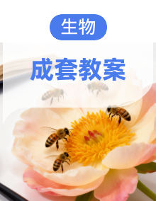 【新教材】苏教版（2024）七年级下册生物第7~11章全册教案