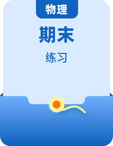 2025-2026学年八年级物理下册期末高频考点练习（新教材沪科版）