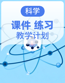 教科版(2024)小学科学三年级上册 同步教学课件+教学计划+课后练习