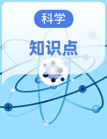教科版科学小学四年级下册期末知识点复习