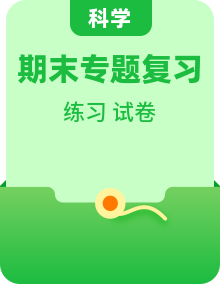 教科版科学小学五年级下册期末复习专项训练卷（含答案）