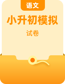 统编版语文六年级下册小升初模拟测试卷及专项知识分类测试卷(含答案)