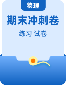 【期末冲刺练】人教版 初中物理八年级下册 单元复习卷（含答案）
