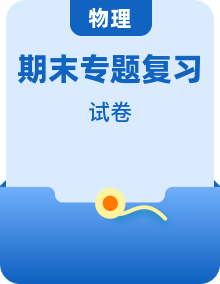 初中八年级下册物理(沪科版五四制)期末复习专题 + 模拟卷(含答案)
