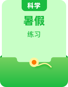 小学科学教科版小学六年级暑假复习练习（含答案）