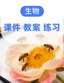 人教版（2024）生物七年级上册同步教学课件+教学设计+课后作业