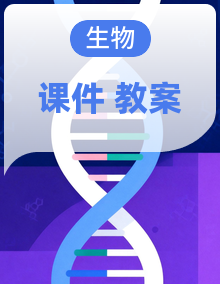 苏教版生物八年级上册（2024）课件+教案（表格式）