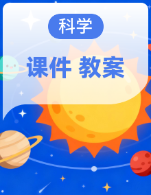 教科版科学二年级上册（2024）PPT课件+教案设计全套