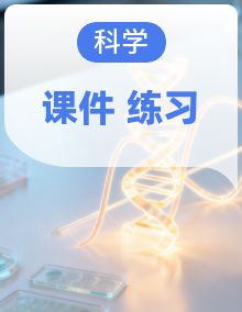 教科版（2024）科学四年级上册 （习题+课堂重点知识笔记课件）