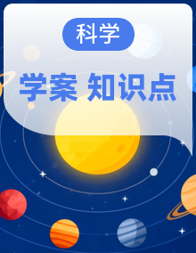 教科版小学科学四上知识梳理（学案）