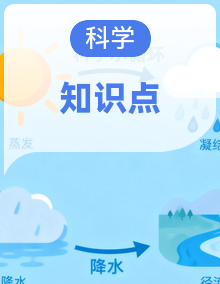 2026年秋新教材苏教版小学科学六年级上册(全册)知识点清单梳理(完整)
