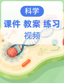新教材苏教版小学科学四年级上册全册课件+教案+作业+视频（全套）