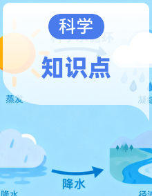 2026-2027学年青岛版(六三制)(新教材)小学科学四年级上册(全册)知识点清单梳理(完整)