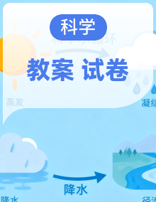教科版2026新版六年级上册科学第一单元"健康生活"教案+试卷