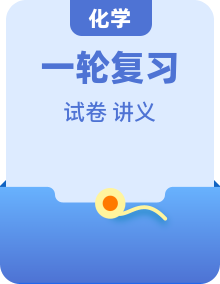 新高考化学一轮复习考点举一反三讲义 （2份，原卷版+解析版）
