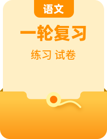 中考语文一轮复习考点突破练习 (2份,原卷版+解析版)