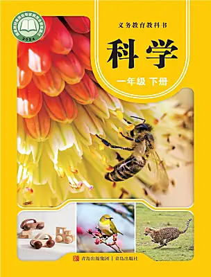 小學(xué)科學(xué)青島版（六三制）(2024)一年級(jí)下冊(cè)（2024）電子課本