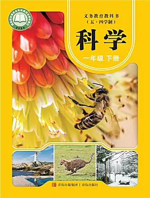 小學(xué)科學(xué)青島版（五四學(xué)制）（2024）一年級(jí)下冊(cè)（2024）電子課本