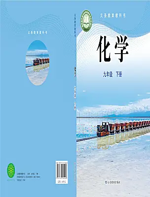 初中化學(xué)魯教版（2024）九年級下冊（2024）電子課本