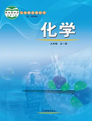 初中化學(xué)魯教版（五四學(xué)制）（2024）九年級(jí)全冊(cè)電子課本
