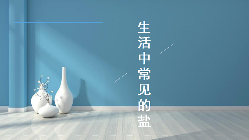 11.1 生活中常见的盐(第1课时)-人教版化学九年级下册同步优质课件(含视频素材)01
