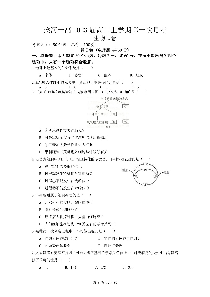 高二上第一次月考生物試卷第1頁