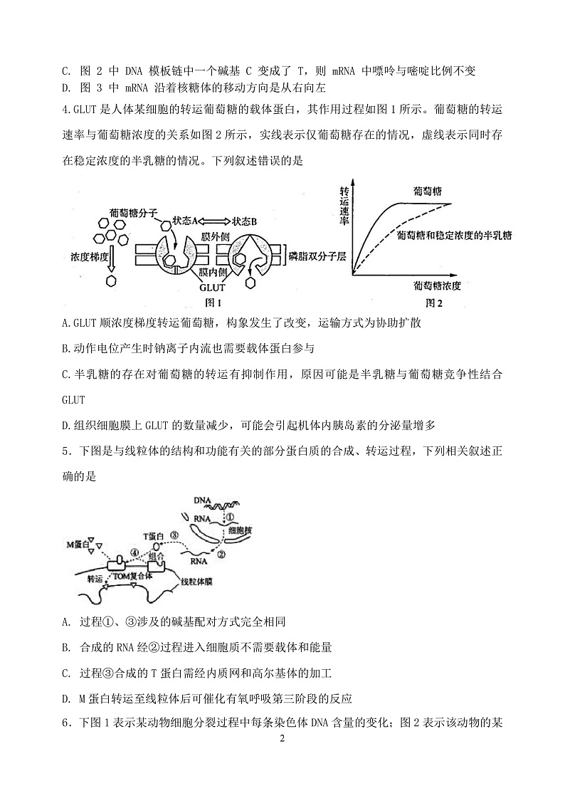 生物2021-2022学年度11月试题第2页